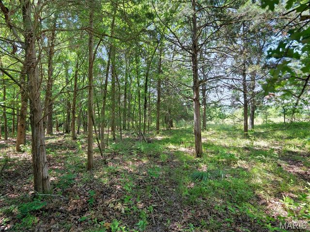 0000 Highway E, Fredericktown, MO 63645