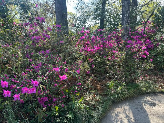 1016 Wheeler Drive, Hanahan, SC 29410