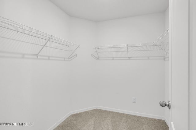 3119 COTTAGE HILL Place, Green Cove Springs, FL 32043