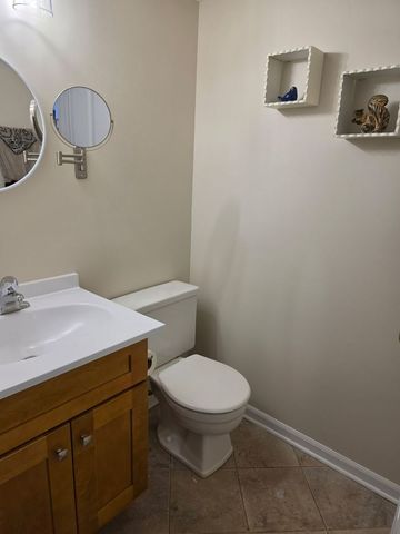 913 Casey Court 1, Schaumburg, IL 60173