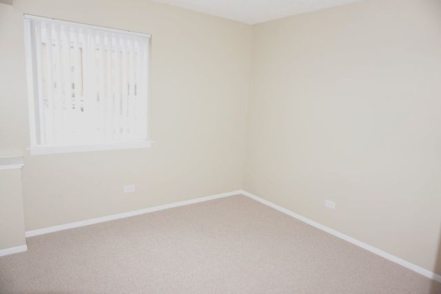 913 Casey Court 1, Schaumburg, IL 60173