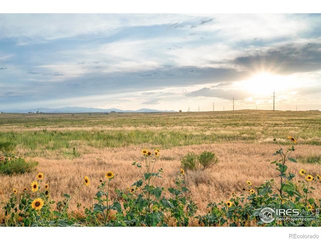 0 County Rd 19, Fort Collins, CO 80524