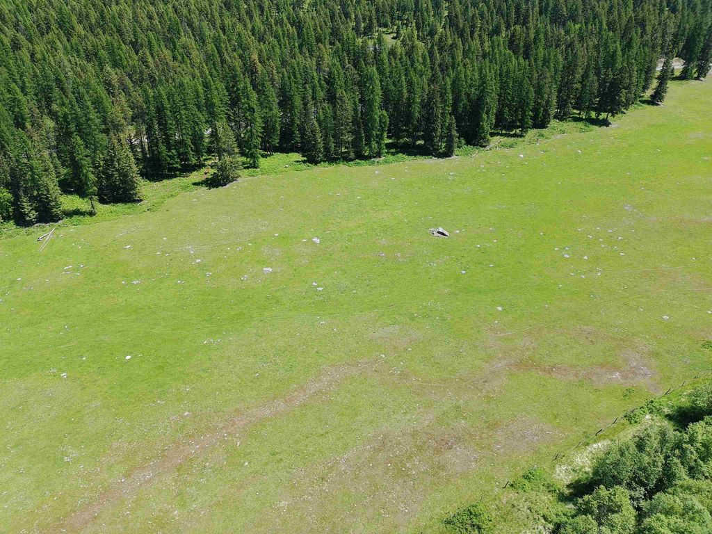 22XX Hawks Rd, Colville, WA 99114 photo 12