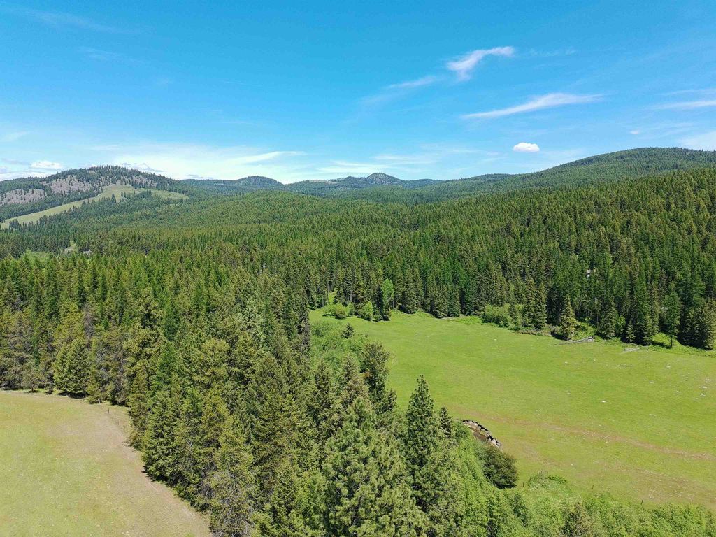 22XX Hawks Rd, Colville, WA 99114 photo 13