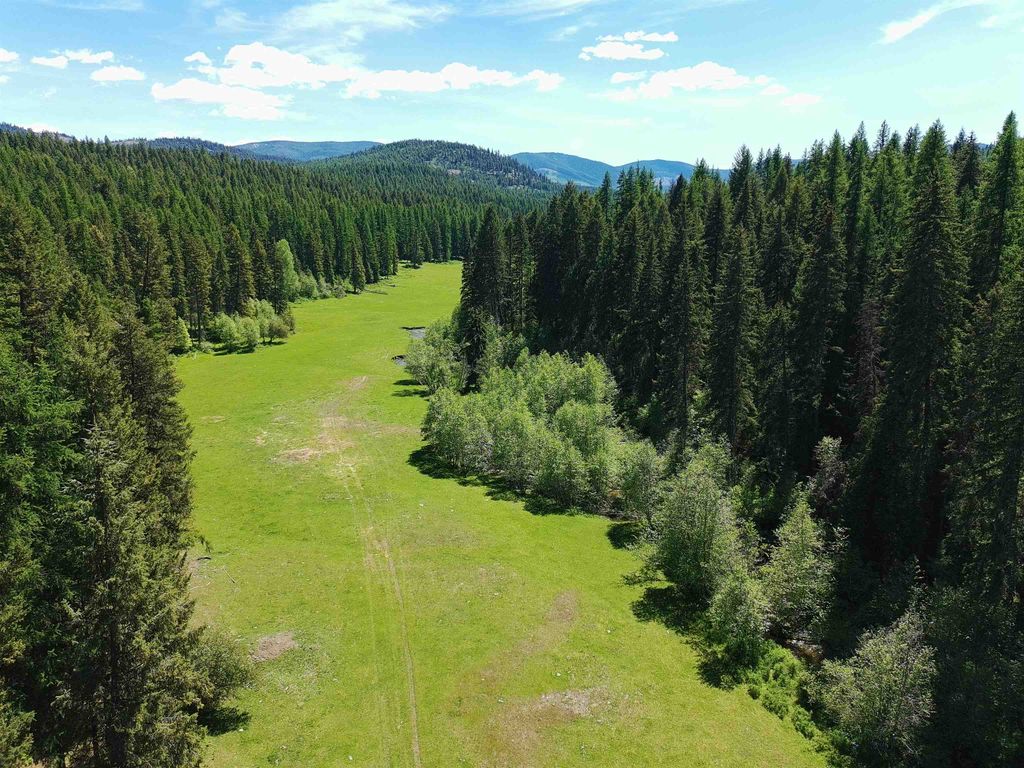 22XX Hawks Rd, Colville, WA 99114 photo 18