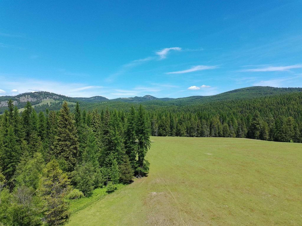 22XX Hawks Rd, Colville, WA 99114 photo 22