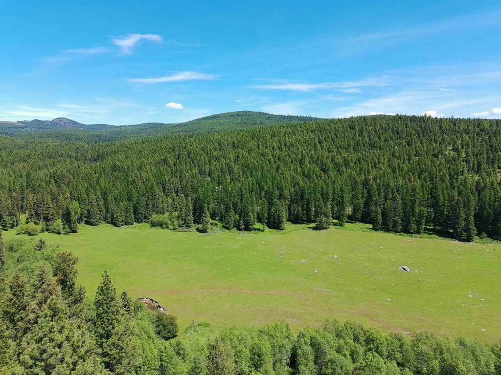 22XX Hawks Rd, Colville, WA 99114 photo 6