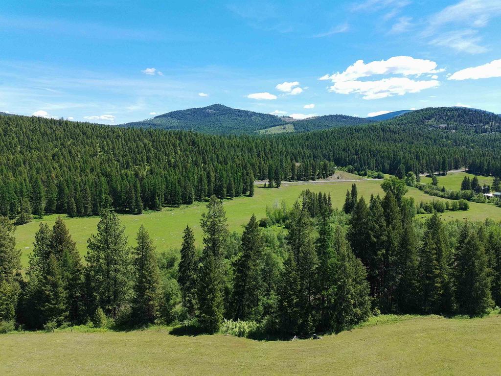 22XX Hawks Rd, Colville, WA 99114 photo 8