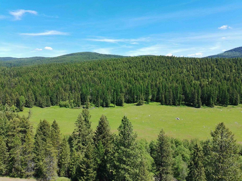 22XX Hawks Rd, Colville, WA 99114 photo 9