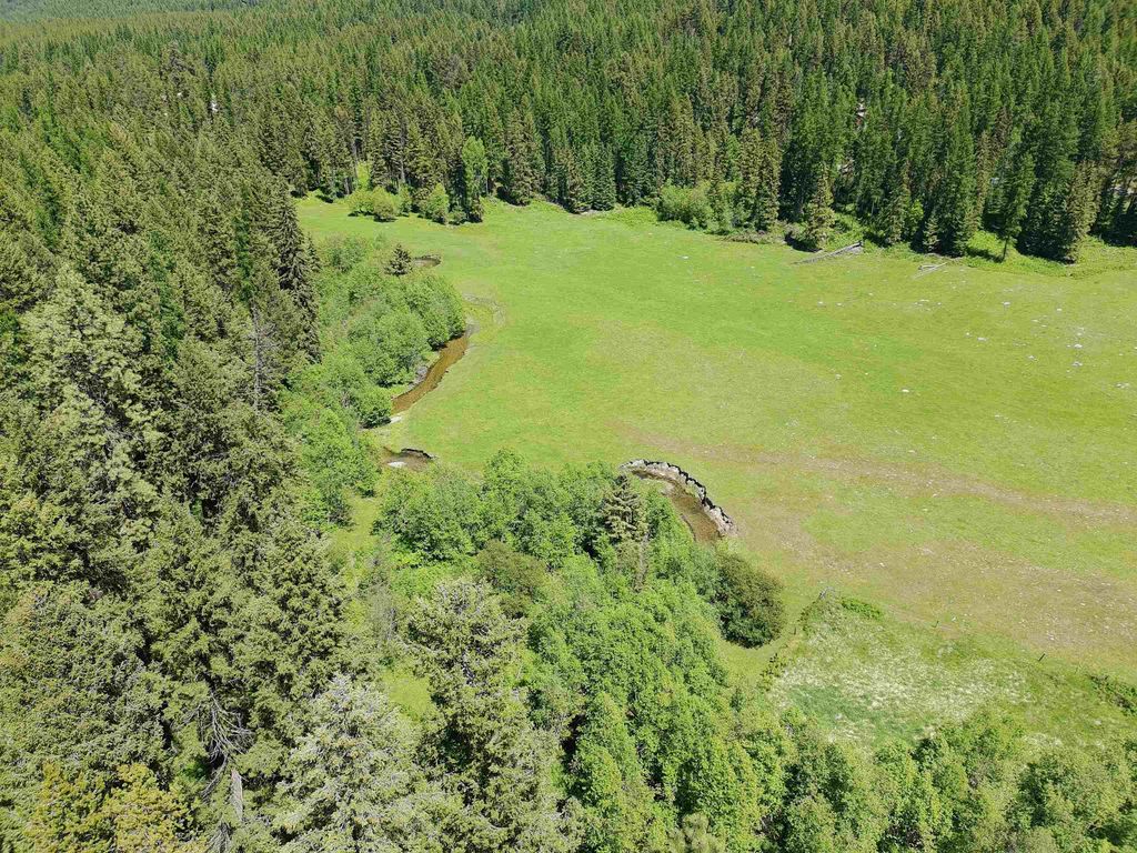 22XX Hawks Rd, Colville, WA 99114 photo 10