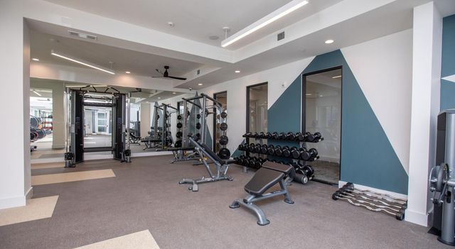 11211 Nexus Avenue 1461, Houston, TX 77477