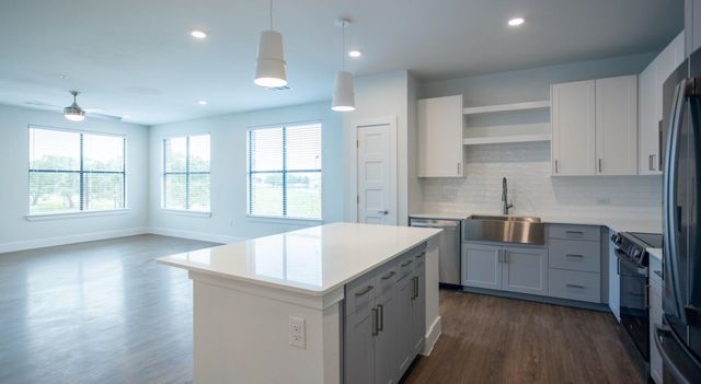 11211 Nexus Avenue 1461, Houston, TX 77477