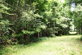 0 Kitfield Road, Moncks Corner, SC 29461