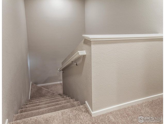 4908 Autumn Leaf Dr, Timnath, CO 80547