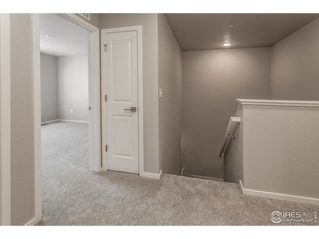 4908 Autumn Leaf Dr, Timnath, CO 80547