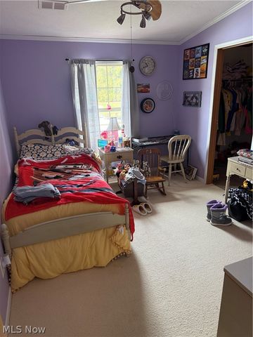 10200 Stamm Road, Mantua, OH 44255