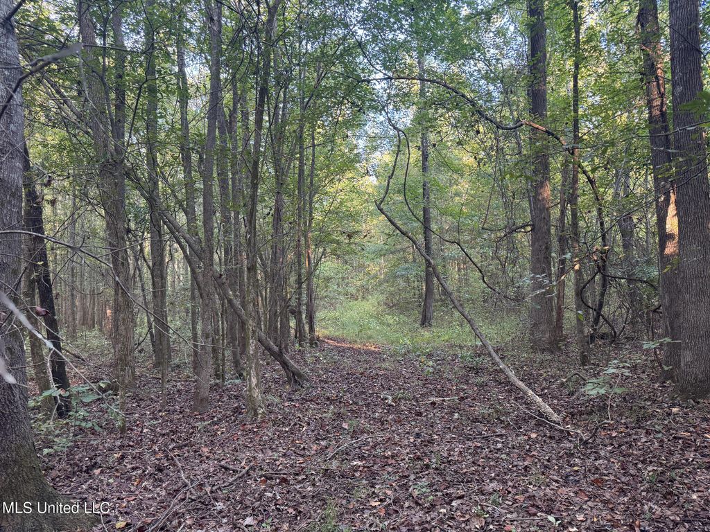 E Commerce Street, Hernando, MS 38632 — photo 2