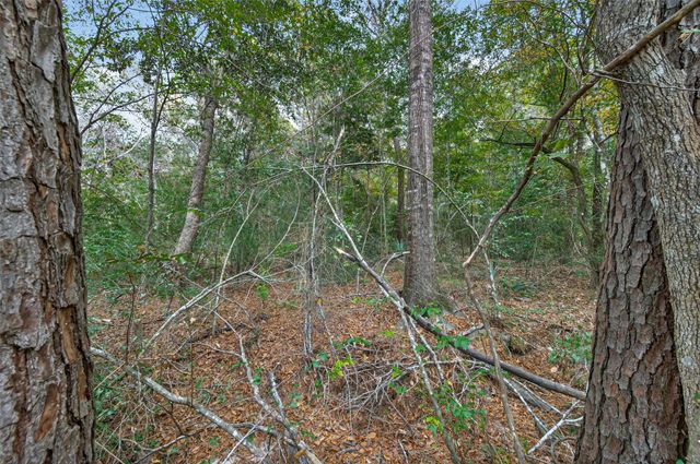 Lot 410, 411 North Woods, Cleveland, TX 77328