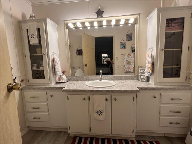 25045 PINE HILL, Leesburg, FL 34748