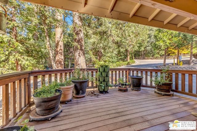 52199 Acorn Lane, Idyllwild, CA 92549