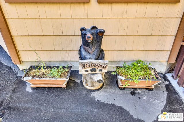 52199 Acorn Lane, Idyllwild, CA 92549