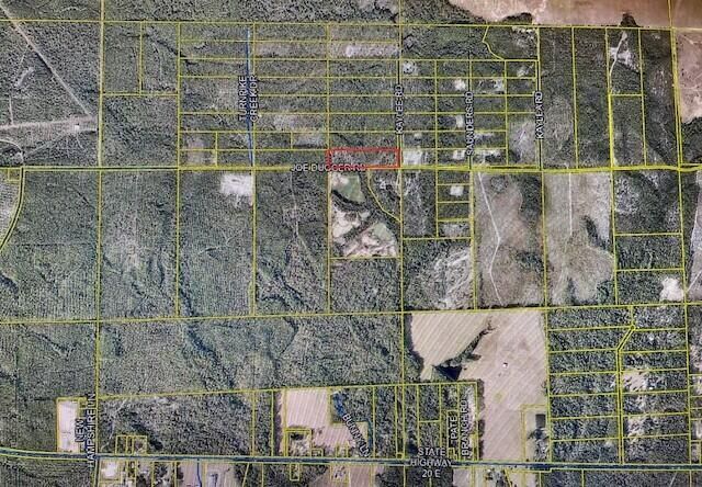 10 Acres Joe Duggar Road, Freeport, FL 32439
