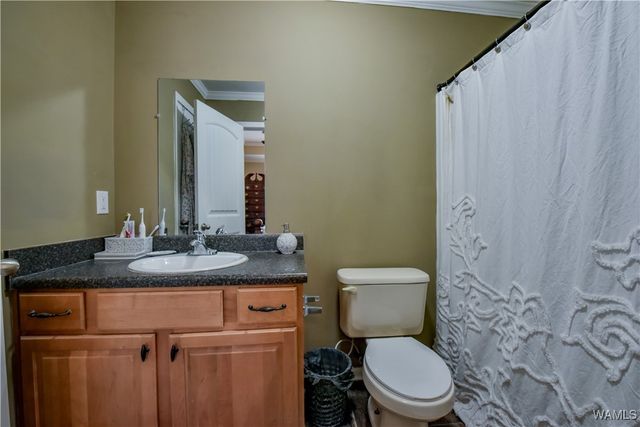 14583 Ole Oak, Coaling, AL 35453