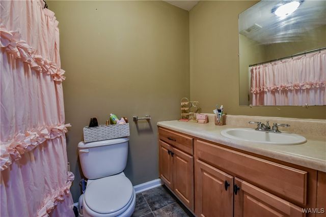 14583 Ole Oak, Coaling, AL 35453