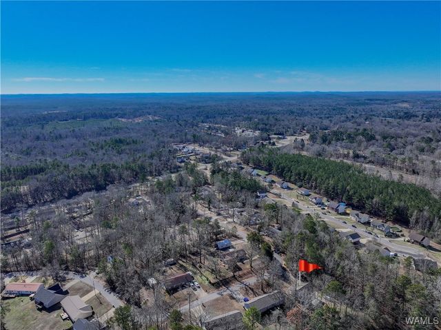 14583 Ole Oak, Coaling, AL 35453