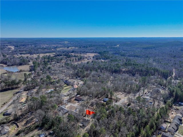 14583 Ole Oak, Coaling, AL 35453