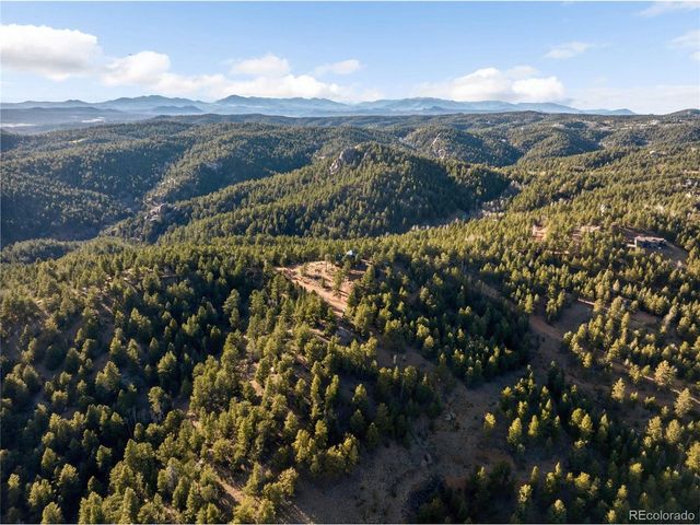 714 Woodrock Way, Divide, CO 80814