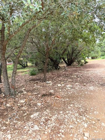 232 SIR WINSTON DR, Canyon Lake, TX 78133