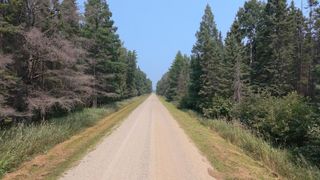 TBD 80 Acres Sunflower Road NE, Woodrow Twp, MN 56650