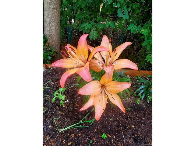 7377 Highland Dr, Lakewood, CO 80214