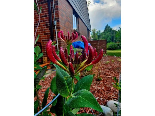 7377 Highland Dr, Lakewood, CO 80214