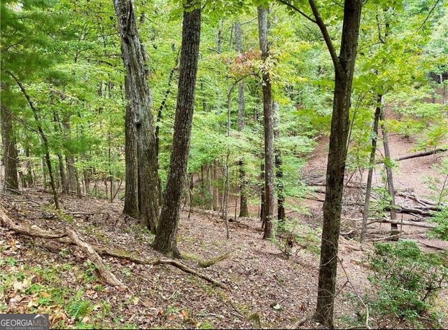 327 Grouse Gap Drive, Jasper, GA 30143