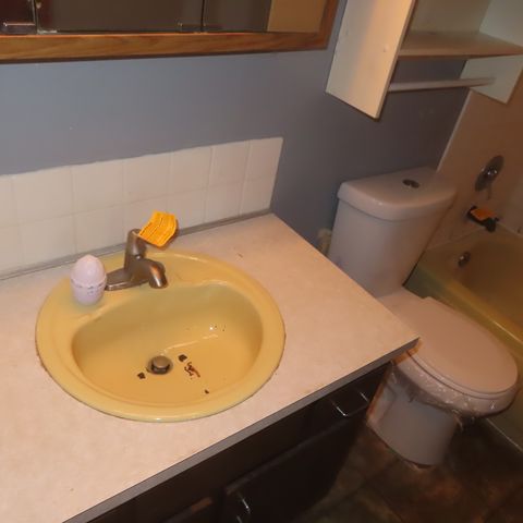 1305 Wakeby Lane 1305, Schaumburg, IL 60193