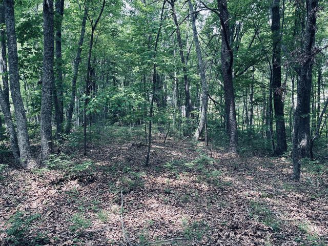 5140 Crockett, Jasper, TN 37347