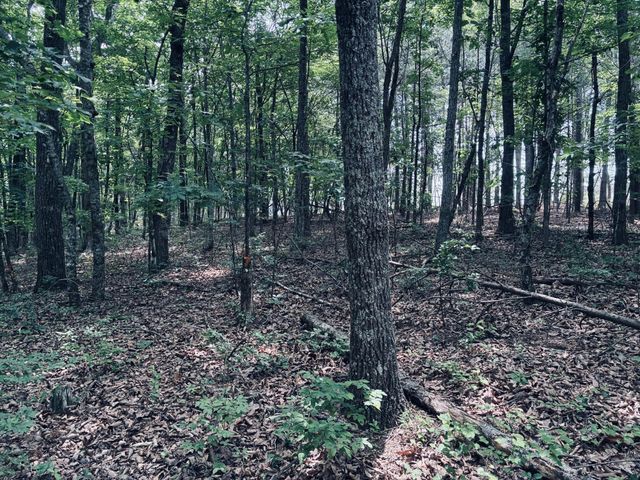5140 Crockett, Jasper, TN 37347
