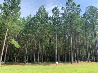 5140 Crockett, Jasper, TN 37347
