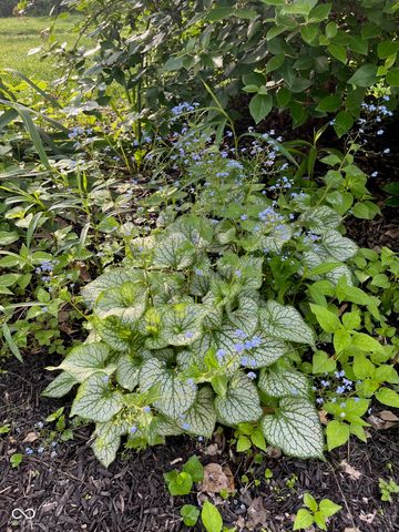 7368 E 71st Street, Indianapolis, IN 46256