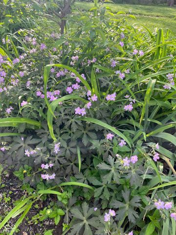 7368 E 71st Street, Indianapolis, IN 46256