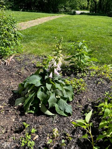 7368 E 71st Street, Indianapolis, IN 46256