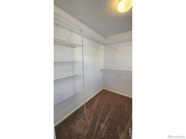4502 Teller Place, Loveland, CO 80538
