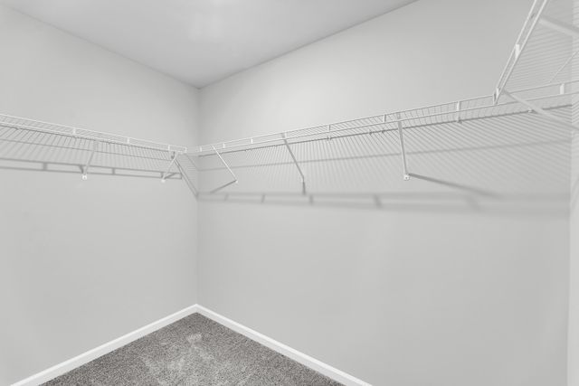 225 Central Creek Drive, Goose Creek, SC 29445
