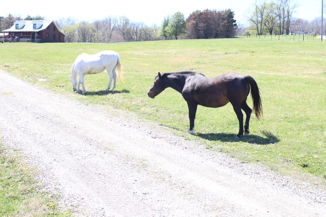 642 Beech Bottom Rd, Watertown, TN 37184