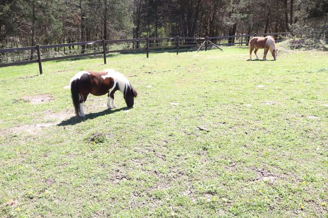 642 Beech Bottom Rd, Watertown, TN 37184