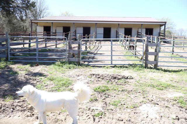 642 Beech Bottom Rd, Watertown, TN 37184