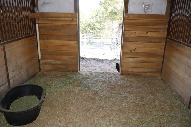 642 Beech Bottom Rd, Watertown, TN 37184