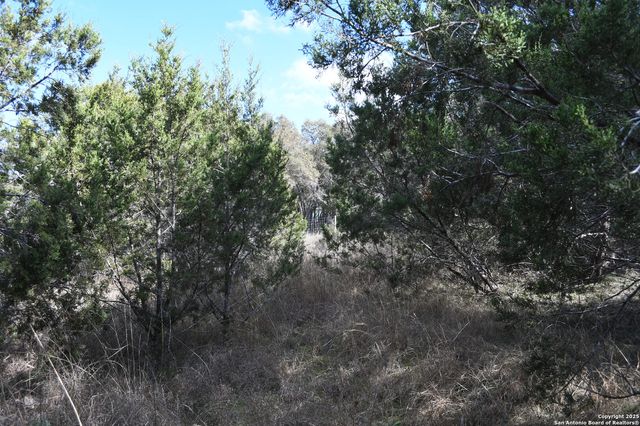 979 & 987 DEER VALLEY PASS, Spring Branch, TX 78070